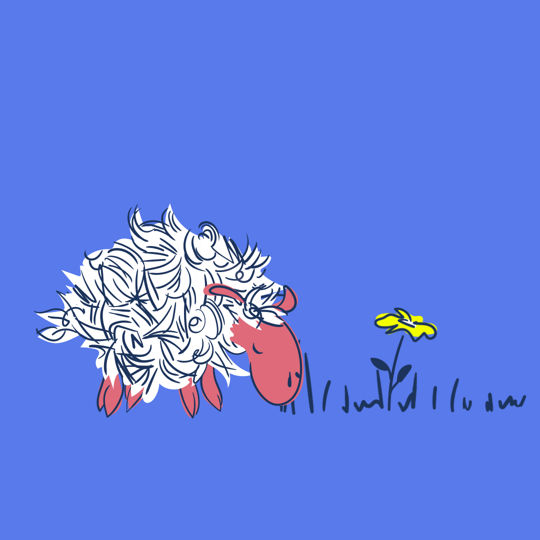 Sheep